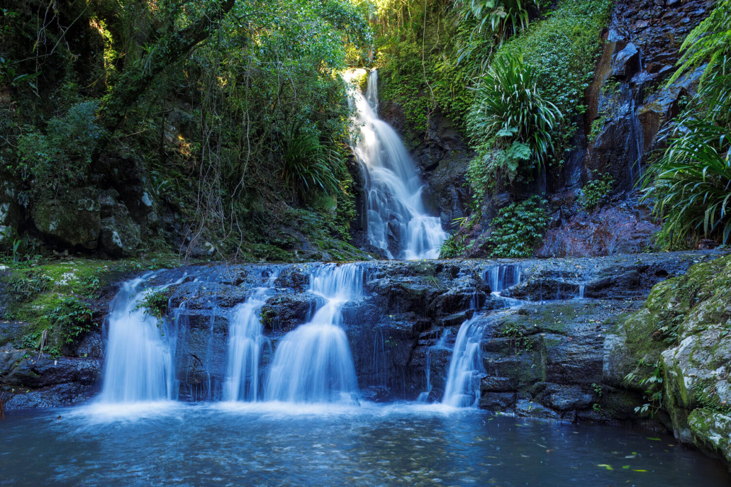 Chasing Waterfalls: A Family Hike Through O’Reilly’s Rainforest Wonders
