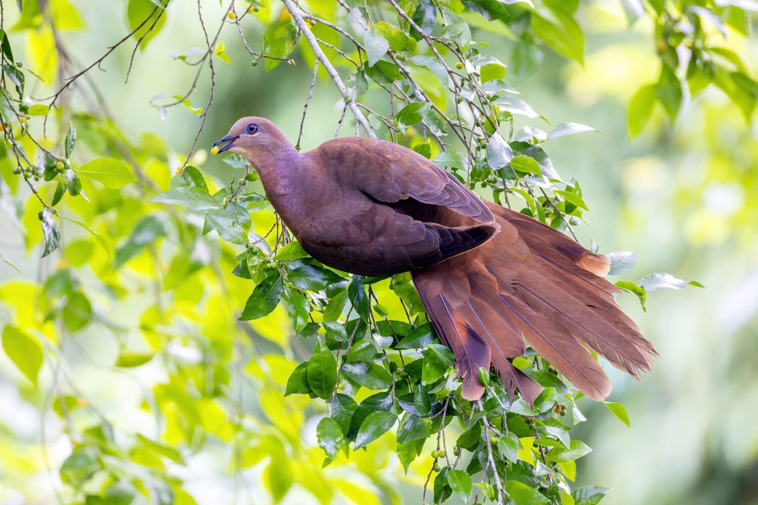 My best photos from 2023