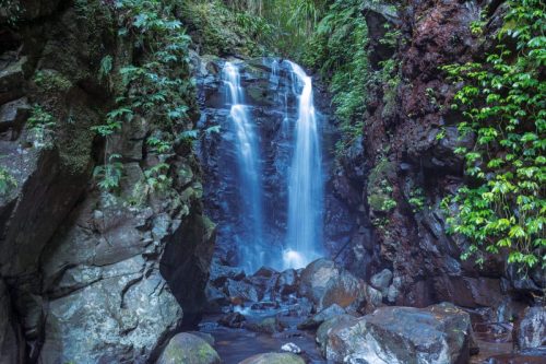 Box Log Falls
